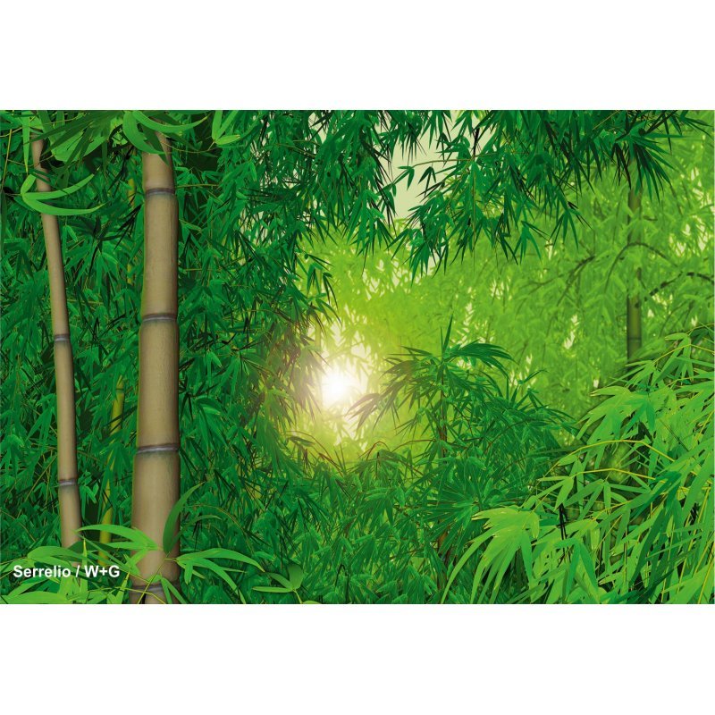 پوستر 8 تکه جنگل بامبو / 97110 پوستر دیواری نوجوان و بزرگسال