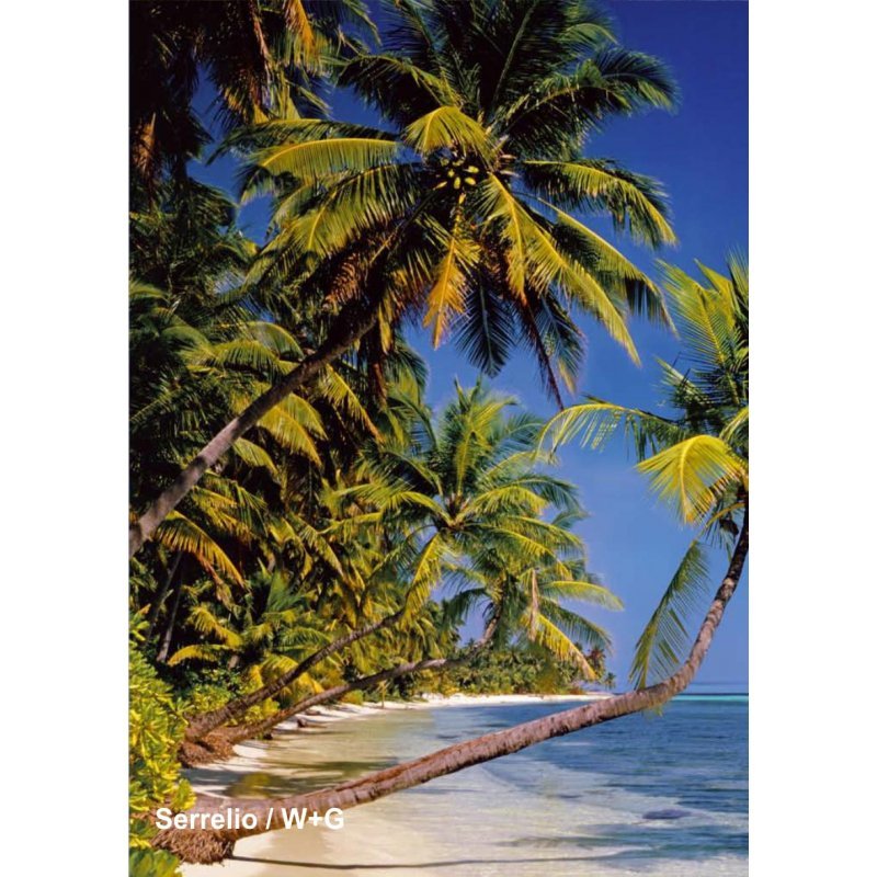 پوستر 4 تکه ساحل جزیره استوایی / 97315 