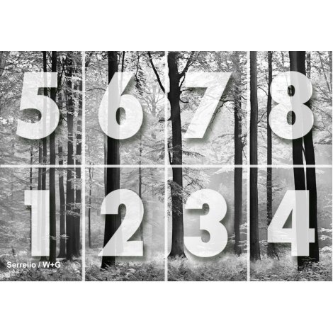 پوستر دیواری ( کاغذ دیواری سه بعدی ) 8 تکه سیاه و سفید جنگل /115